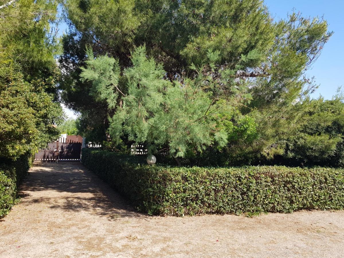 Villa Cino Пунта Прошуто Екстериор снимка