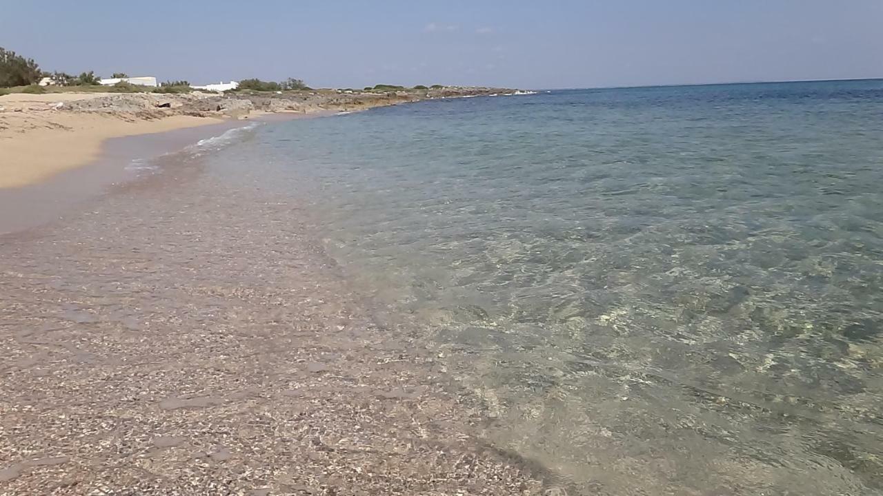 Villa Cino Пунта Прошуто Екстериор снимка